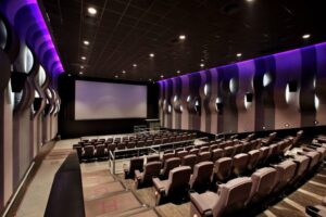 cinema theatre in pondicherry
